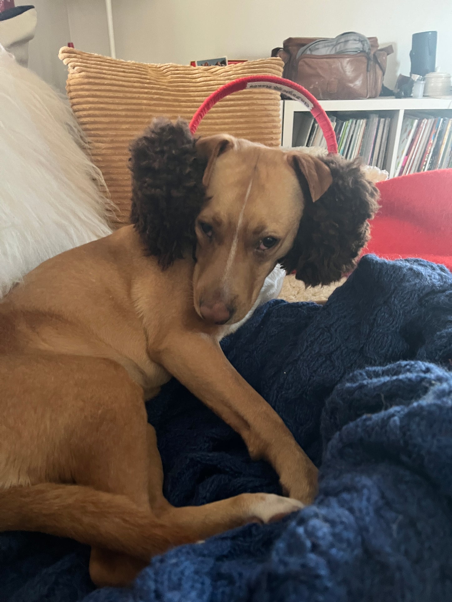Made-To-Order Shearling Earmuffs