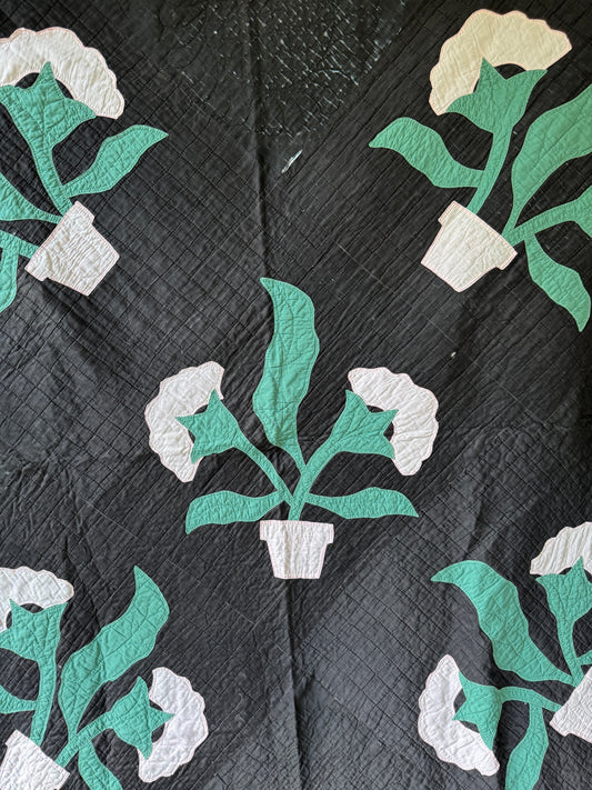 Antique 1910s-30s Rare Black Amish Floral Appliqué Quilt